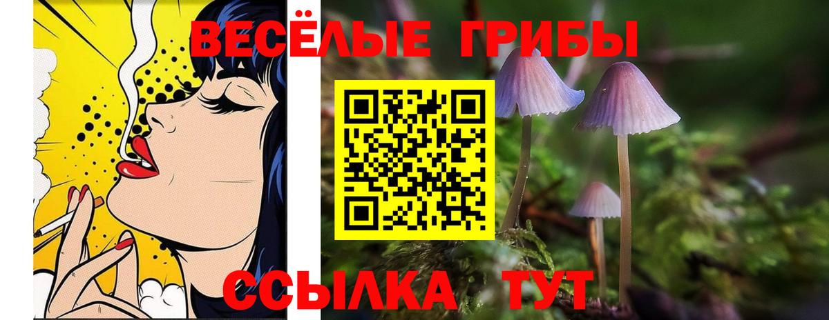 Киселёвск  Галлюциногенные грибы GOLDEN TEACHER  Вход с VPN 