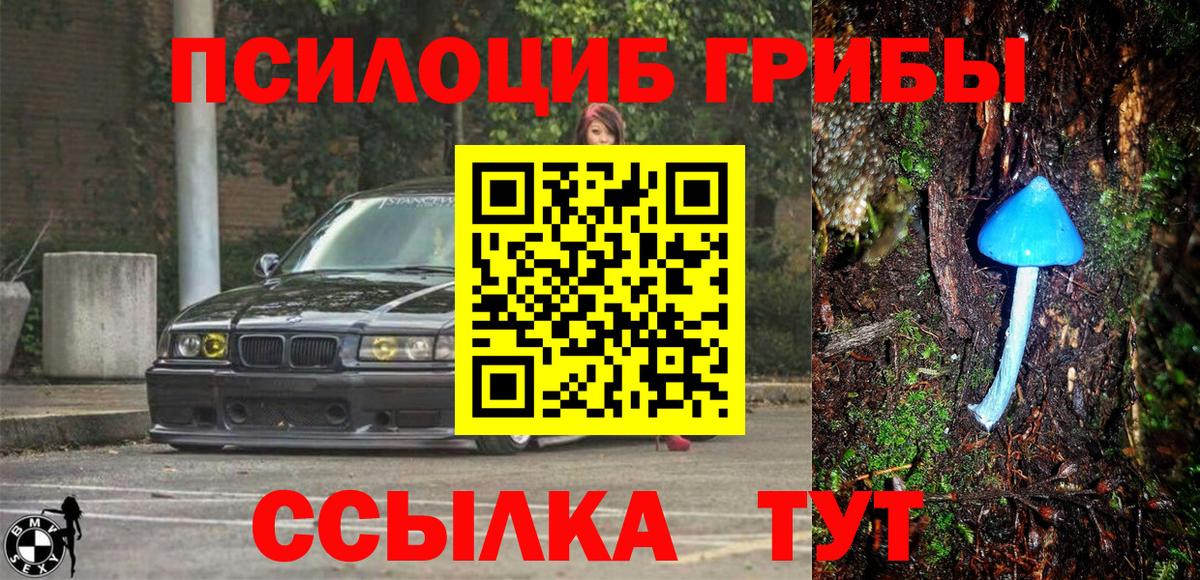 Галлюциногенные грибы прущие грибы Киселёвск